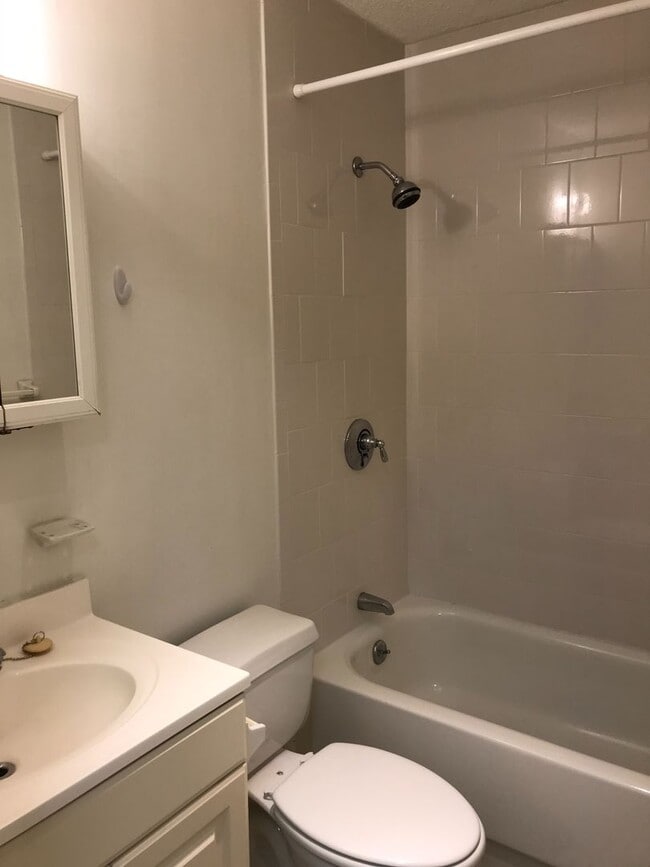 Photo - Large Sunny Studio Available Near Longwood (9/1)