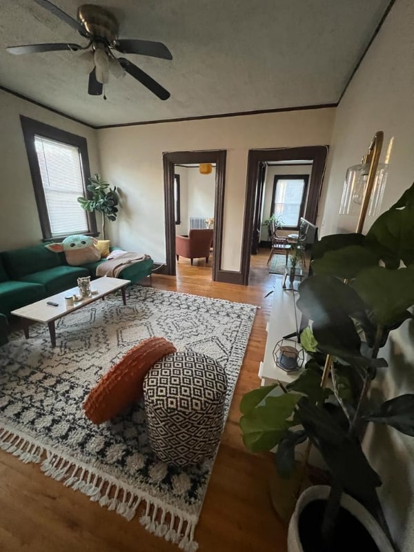 Photo - 144 Stewart St