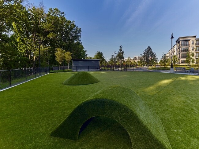 Photo - Vermella Woodbridge