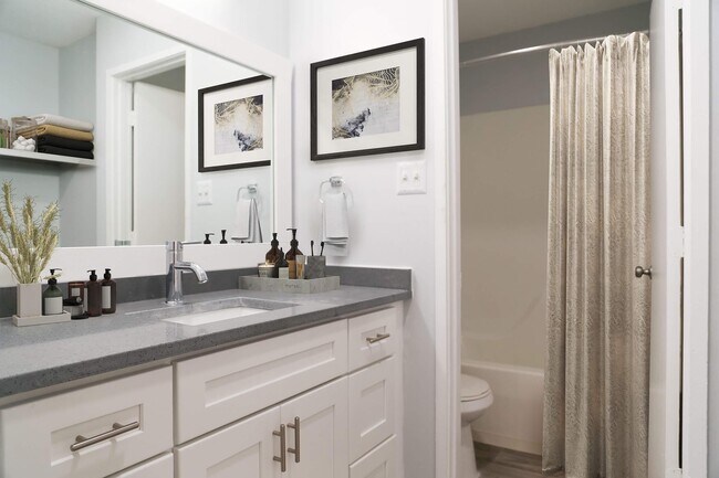 Photo - Cross Creek Preserve