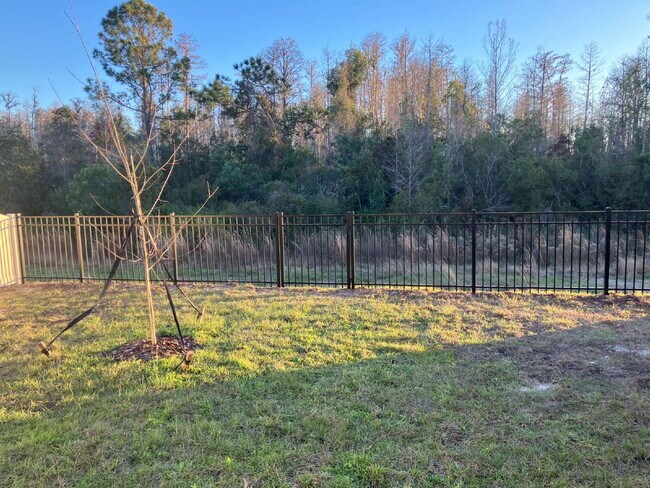 Photo - Charming 3-Bed Oasis with 2 Baths in Land O' Lakes – Your Ideal 1,448 Sq Ft Retreat!