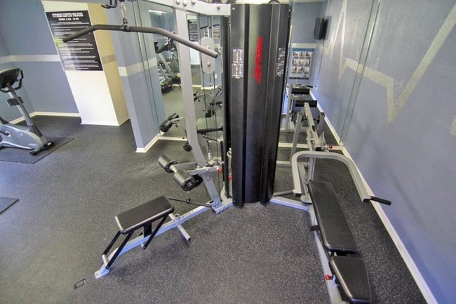 Photo - Gladstell Forest