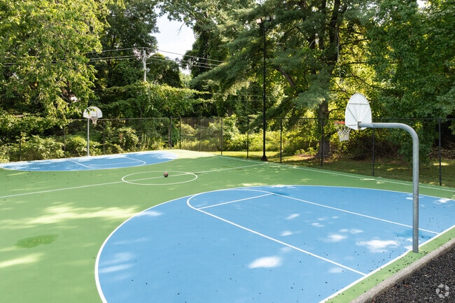 Basketball Court