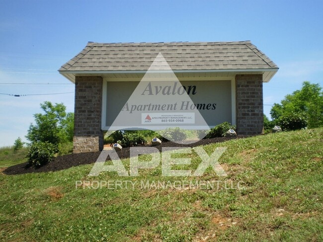 2BD - 1BA Apartment off Topside Road with ... - 2BD - 1BA Apartment off Topside Road with ... Unit 1213