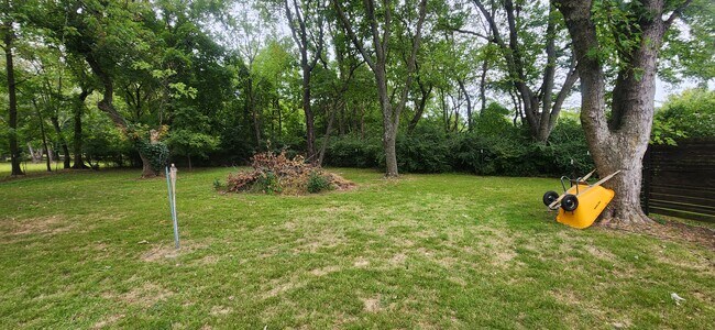 back yard - 882 N 54th Ave