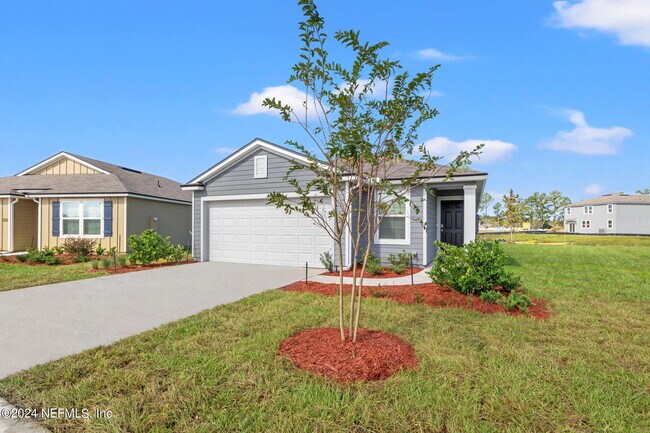 Photo - 12567 Rubber Fig Ter