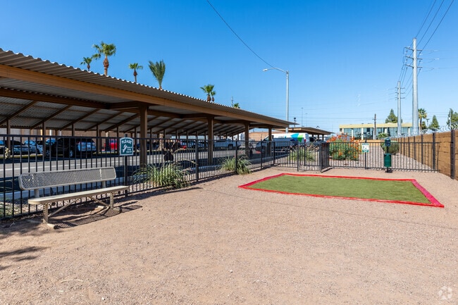 Dog Park