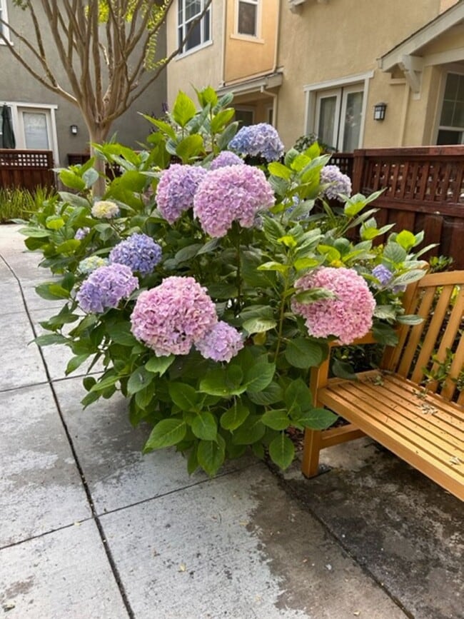 Photo - 6939 Santero Way