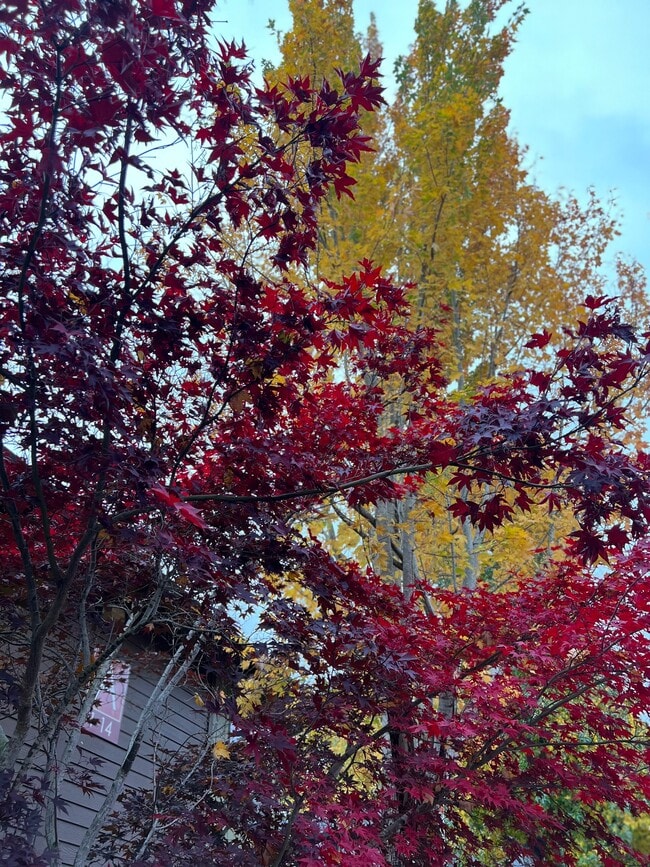 Photo - 19655 SW 65th Ave Unit 29