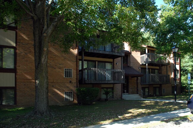 Photo - Windmill Chase