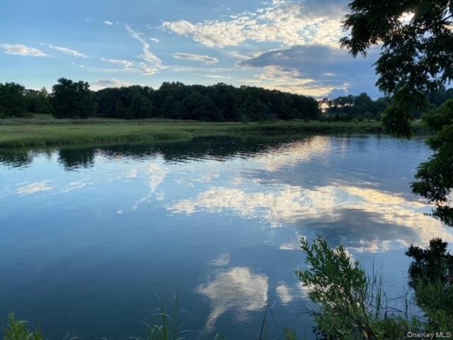 Photo - 329 Centre Island Rd