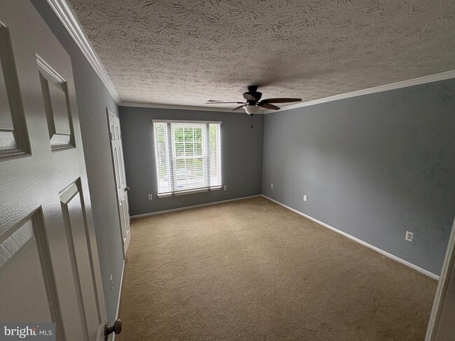 Photo - 10811 Topbranch Ln