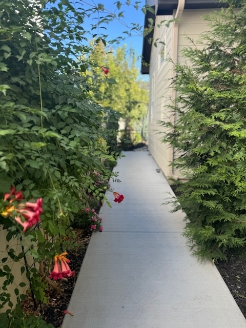 Photo - 11686 W Triloba Dr