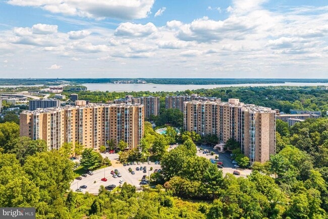 Building Photo - 5903 Mt Eagle Dr Unit 917 Rental