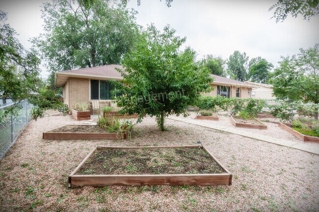 Photo - P-08 Unit 1004