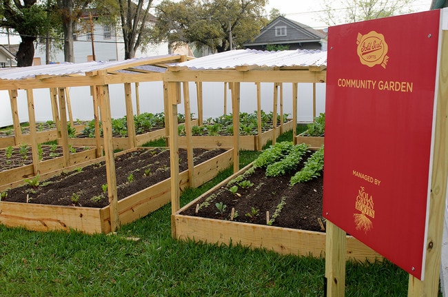 Community Garden - Gold Seal Lofts