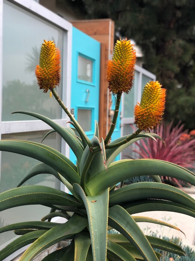 Photo - 2225 Manchester Avenue Unit #1