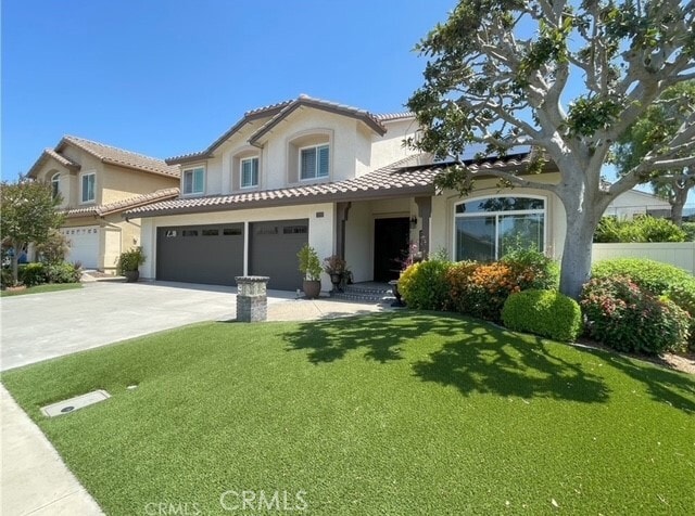 Photo - 17 Thornbird