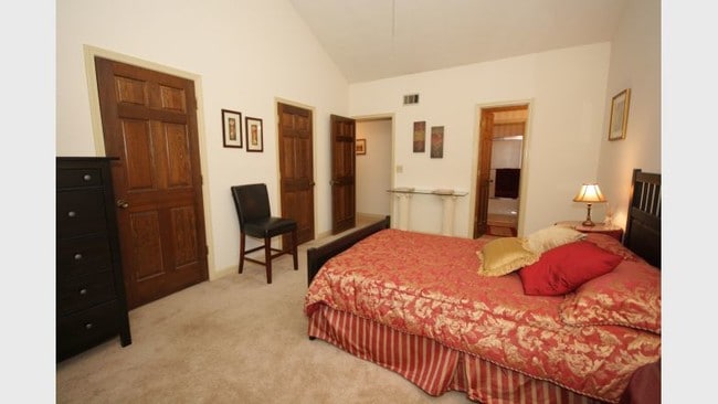 Photo - Anaberry Forest