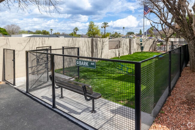 Fenced Dog Park