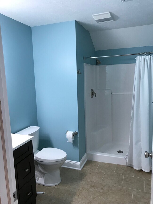 Bath room - 60 palmer ave rear