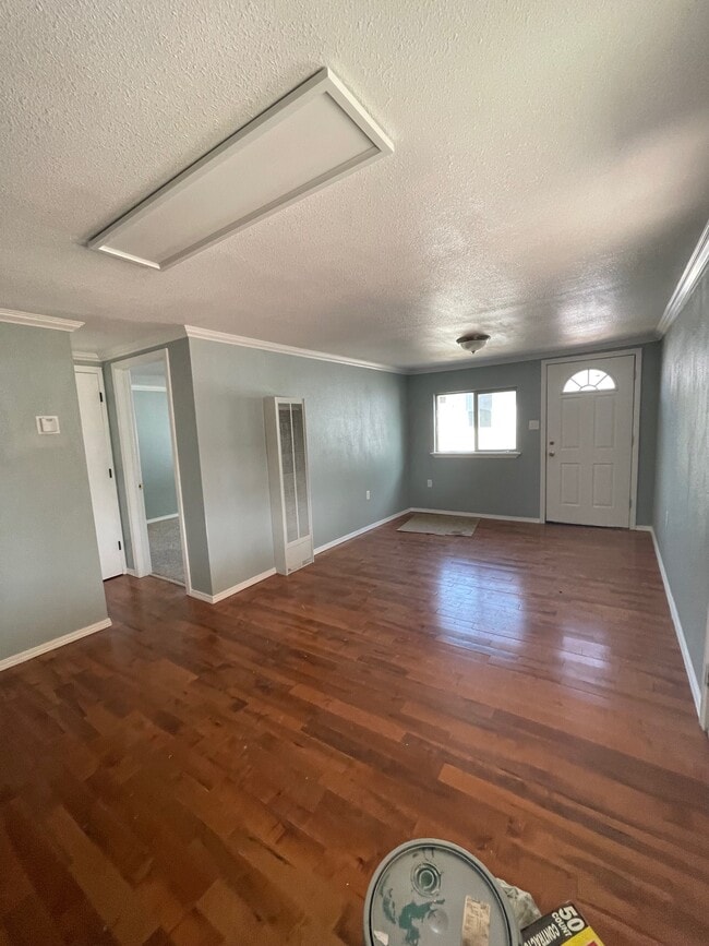 Living Room - 226 Viro Cir