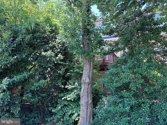 Photo - 214 Halpine Walk Ct