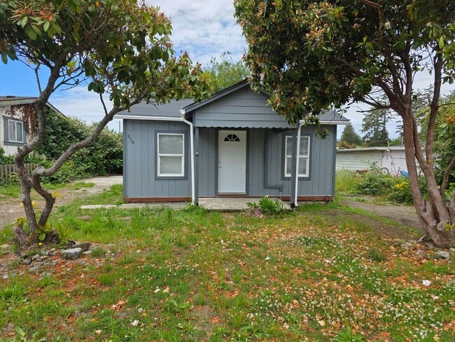 2 bed 1 bath home close to town. - 2 bed 1 bath home close to town.