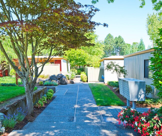 Photo - King Plaza Apartments