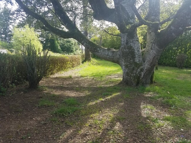 Building Photo - Newly Updated! 3 Bed/2 Bath House on a Lar...