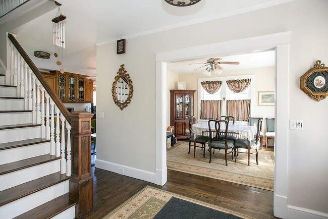 Photo - 17 Annandale Terrace