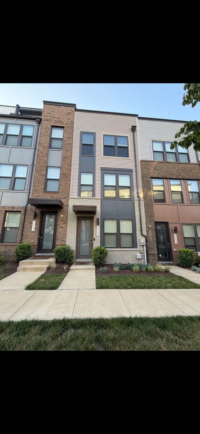 Photo - 2560 Nicholson St