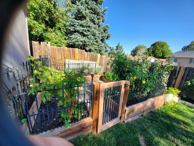 Building Photo - 1496 S Cathay Way