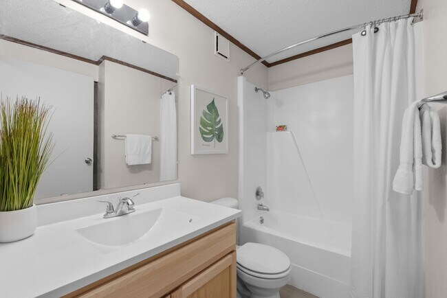 Photo - Falls at Arlington