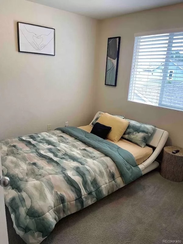 Photo - 4543 Crestone Peak St