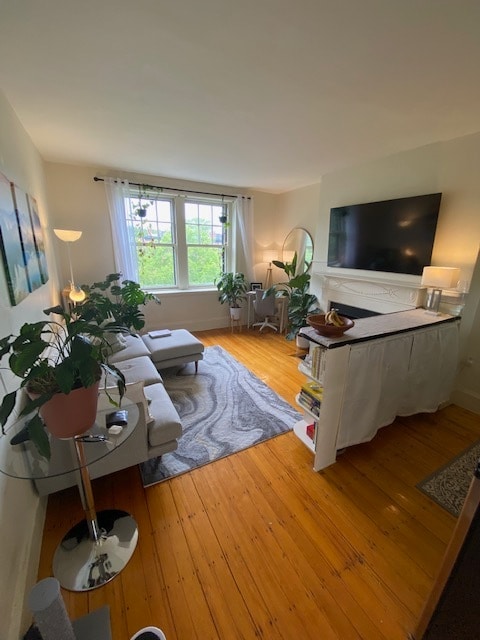 Photo - 1073 Beacon St Unidad 2