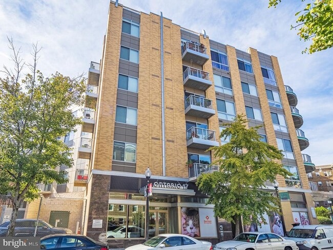 Building Photo - 2550 17th St NW Unit 613