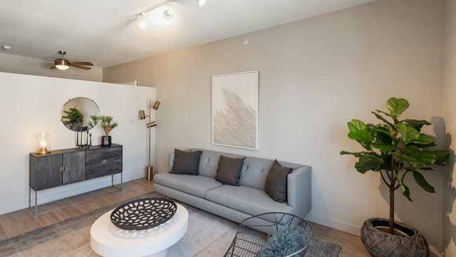 Photo - Arrive Loring Park