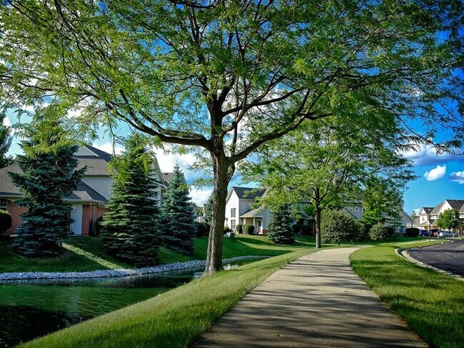 The Village at Stone Falls
