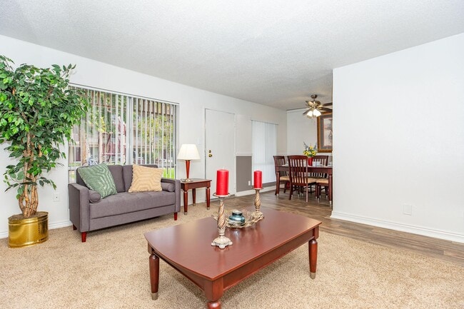 Photo - Woodberry Heights