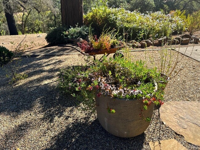 Photo - 926 Champion Ln