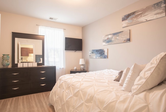 Photo - Dove Landing