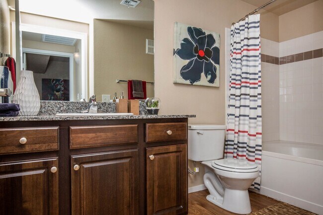 Risen Star 768 SQFT 1 Bed 1 Bath - The Belmont by Picerne