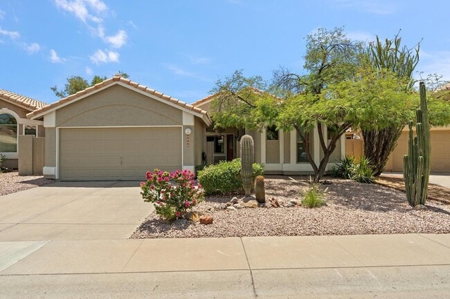 Photo - 9343 E Windrose Dr