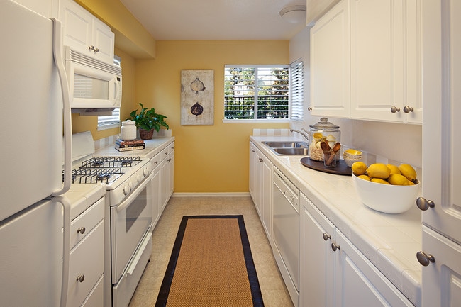Windwood Knoll Apartment Homes