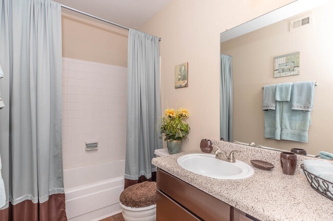 Modern Bathroom - Willow Bend Apartments