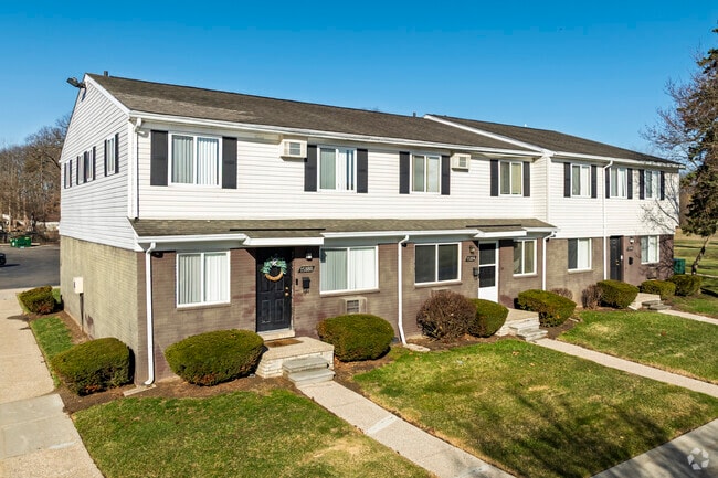 The Springs - The Springs