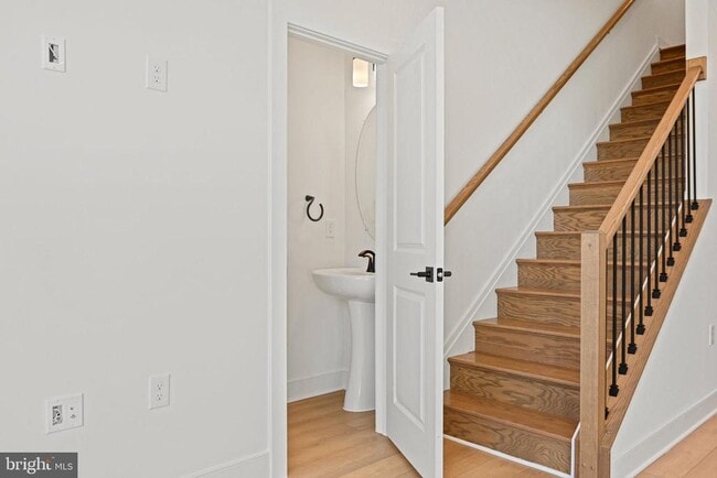 Photo - 19874 Yellow Daisy Ter