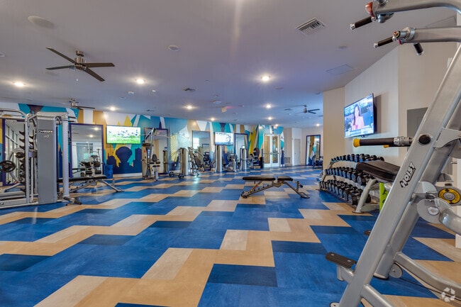 Gimnasio