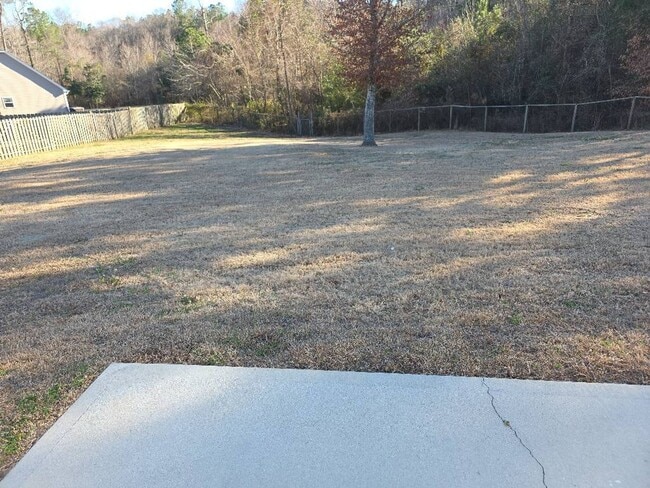 Photo - 3 bedroom, 2 bath in Rockford Forest